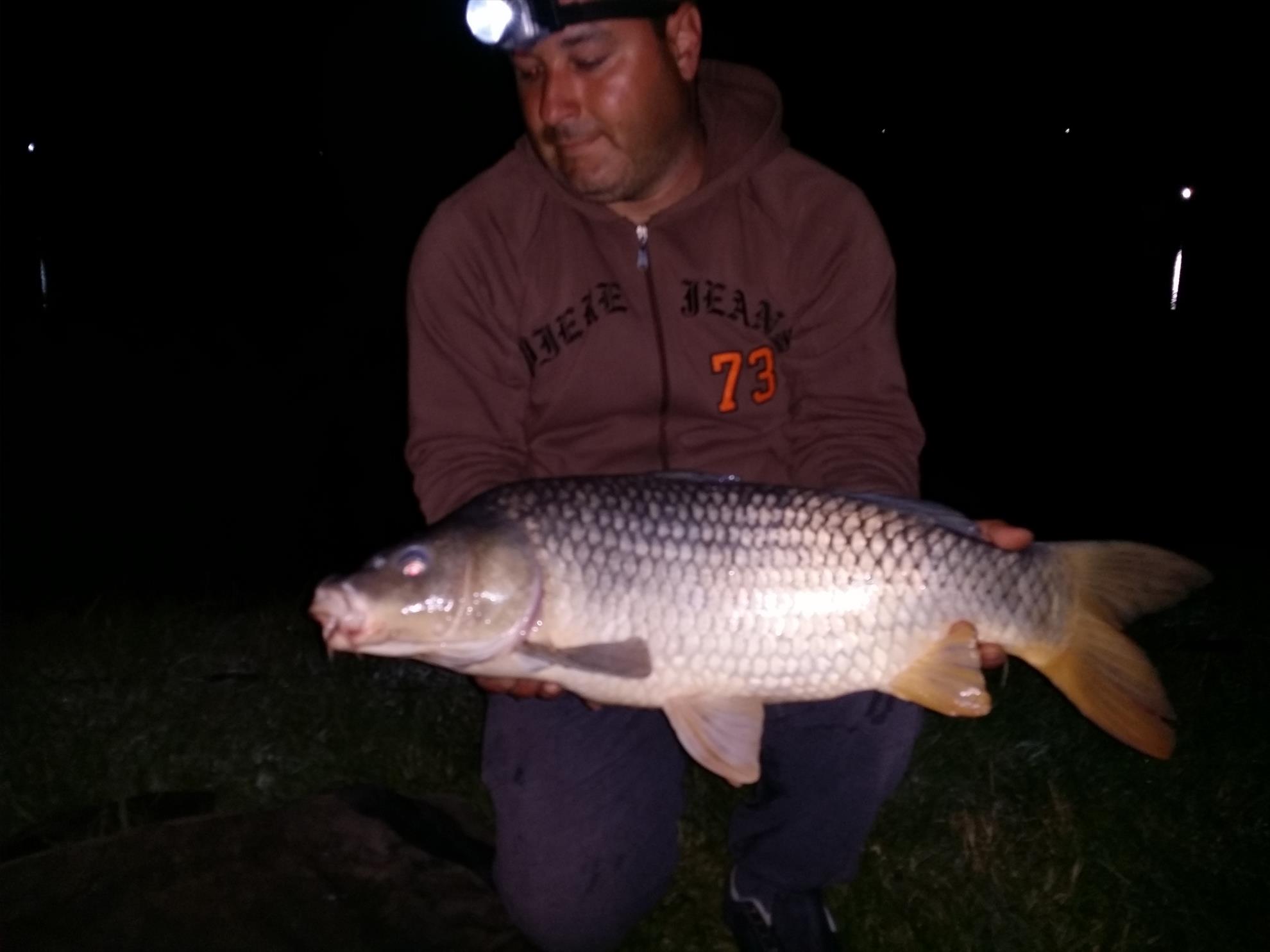 pestisori de aur - boris-phone-044.jpg